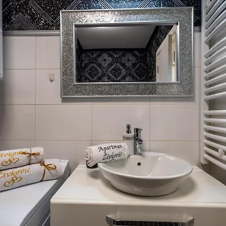 Apartment Zivkovic *