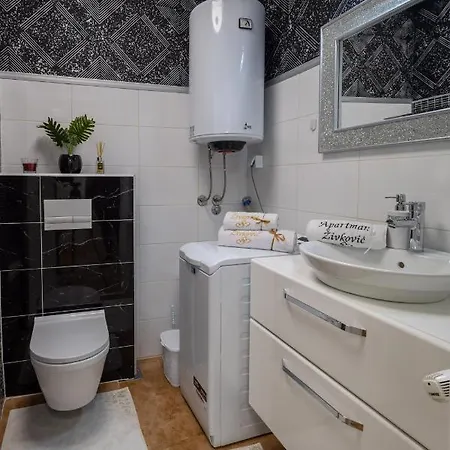 Apartment Zivkovic *